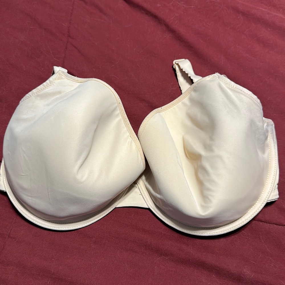 Panache porcelain 34G bra (UK sizing)